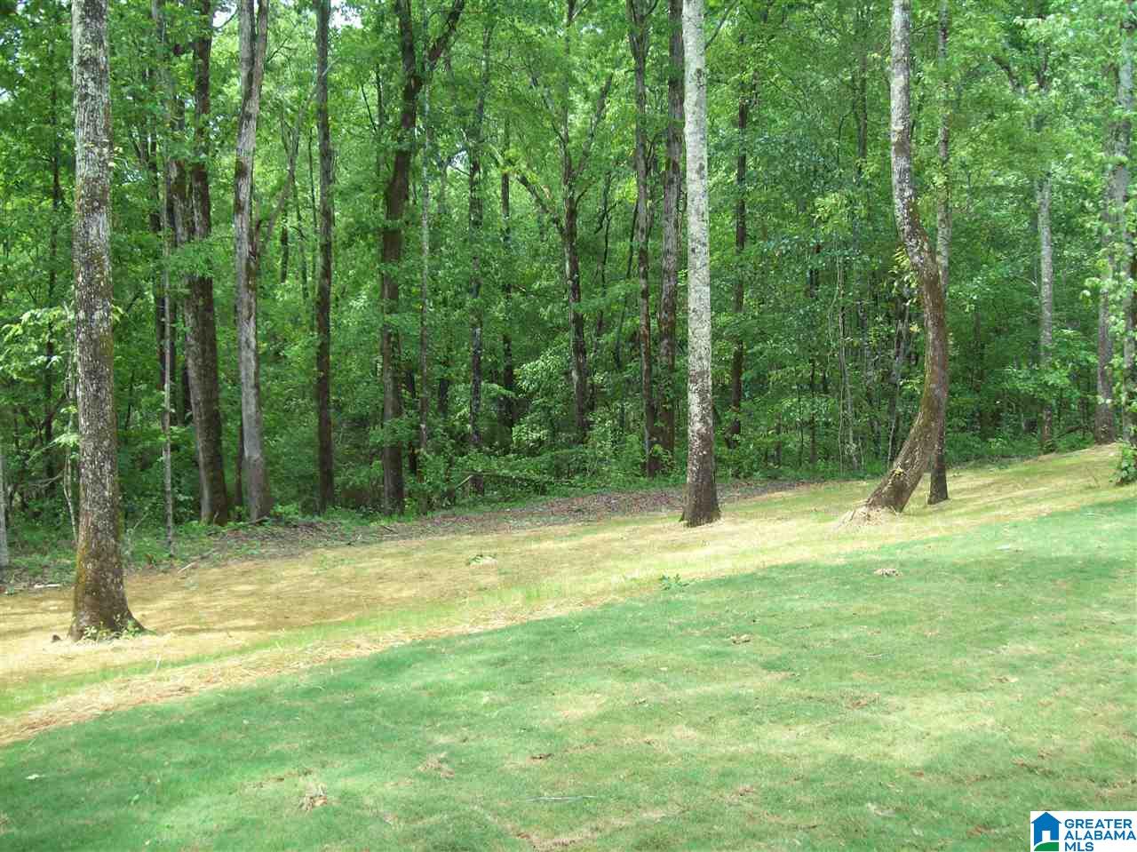 109 Highland Ridge Drive Chelsea, AL 35043 - Photo 35 of 37