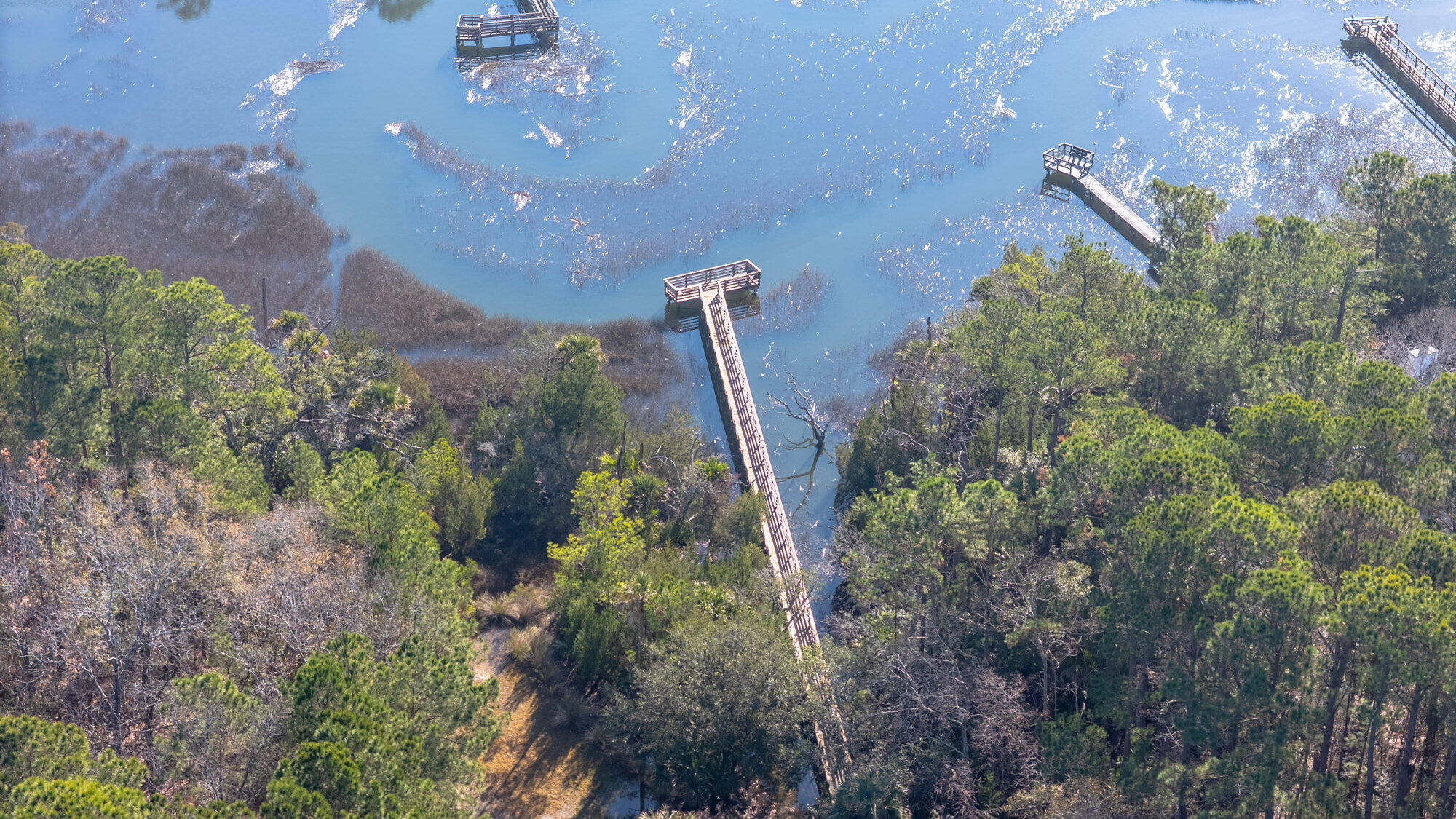 3548 Bagley Drive Mount Pleasant, SC 29466 - Photo 38 of 40 ParkWestcrabdock103