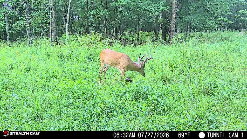 1271 A Tunnel Ridge Road Grayson, KY 41143 - Photo 129 of 134 7.29.26 04