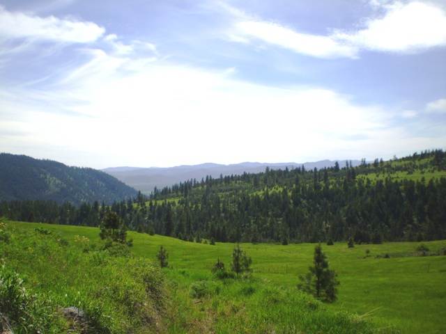 Tbd Breckinridge Road Rice, WA 22760 - Photo 1 of 8