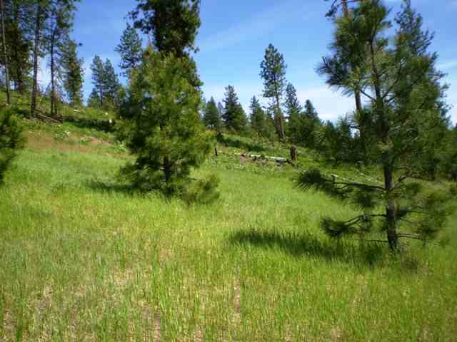Tbd Breckinridge Road Rice, WA 22760 - Photo 3 of 8