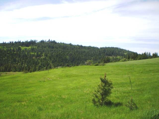 Tbd Breckinridge Road Rice, WA 22760 - Photo 4 of 8