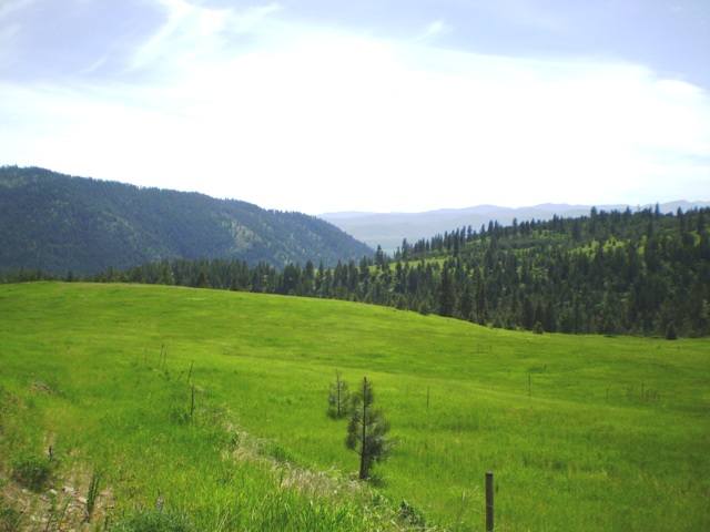 Tbd Breckinridge Road Rice, WA 22760 - Photo 5 of 8