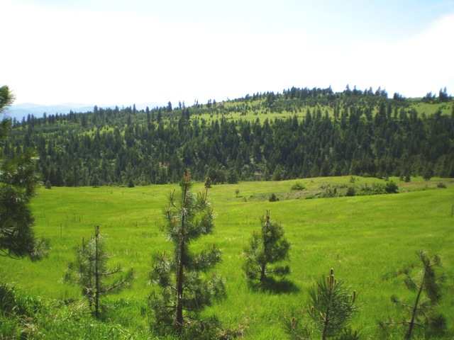 Tbd Breckinridge Road Rice, WA 22760 - Photo 6 of 8