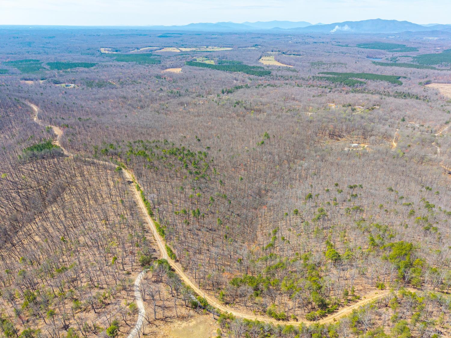 0 Larkin Mountain Road Amherst, VA 24521 - Photo 20 of 35