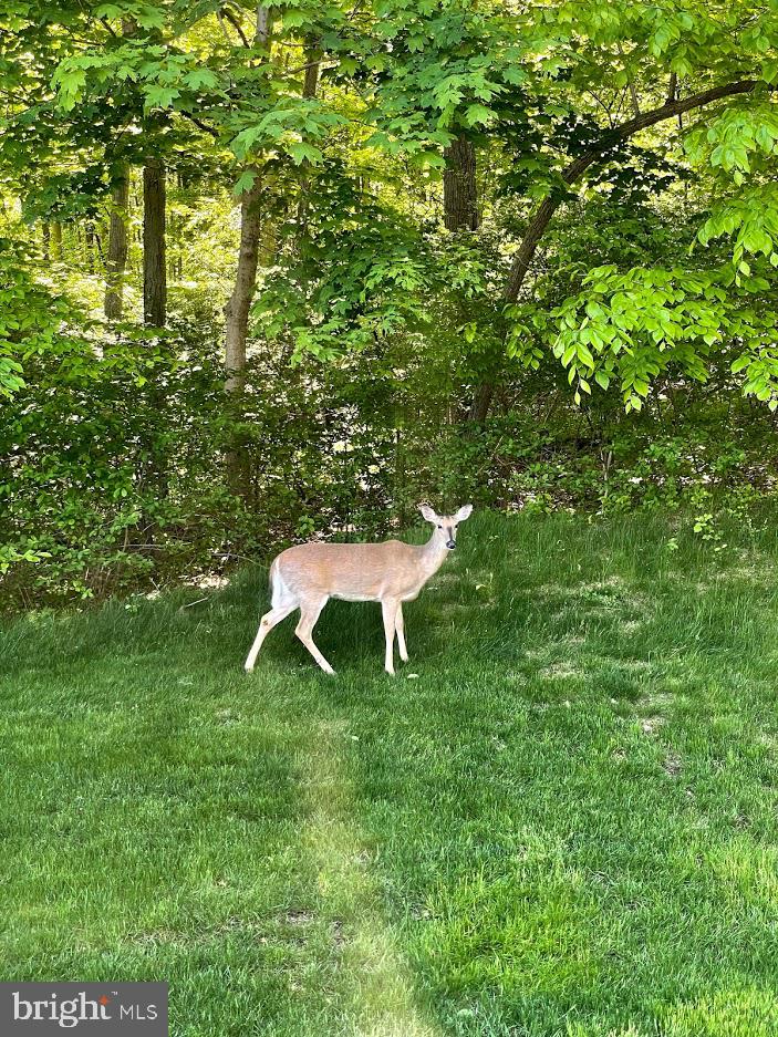 217 Chapel Hill Road Reading, PA 19608 - Photo 32 of 36