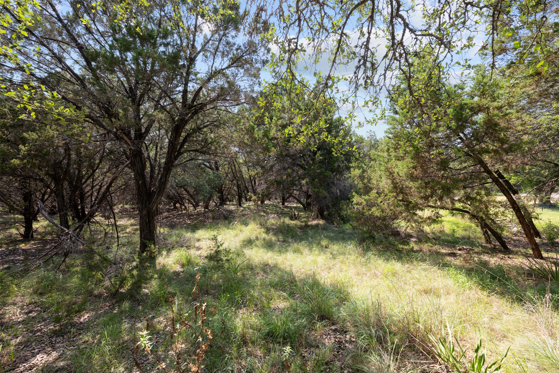 21105 Ridgeview Road Lago Vista, TX 78645 - Photo 22 of 34 Mature trees and natural grasses create a secluded and verdant setting.