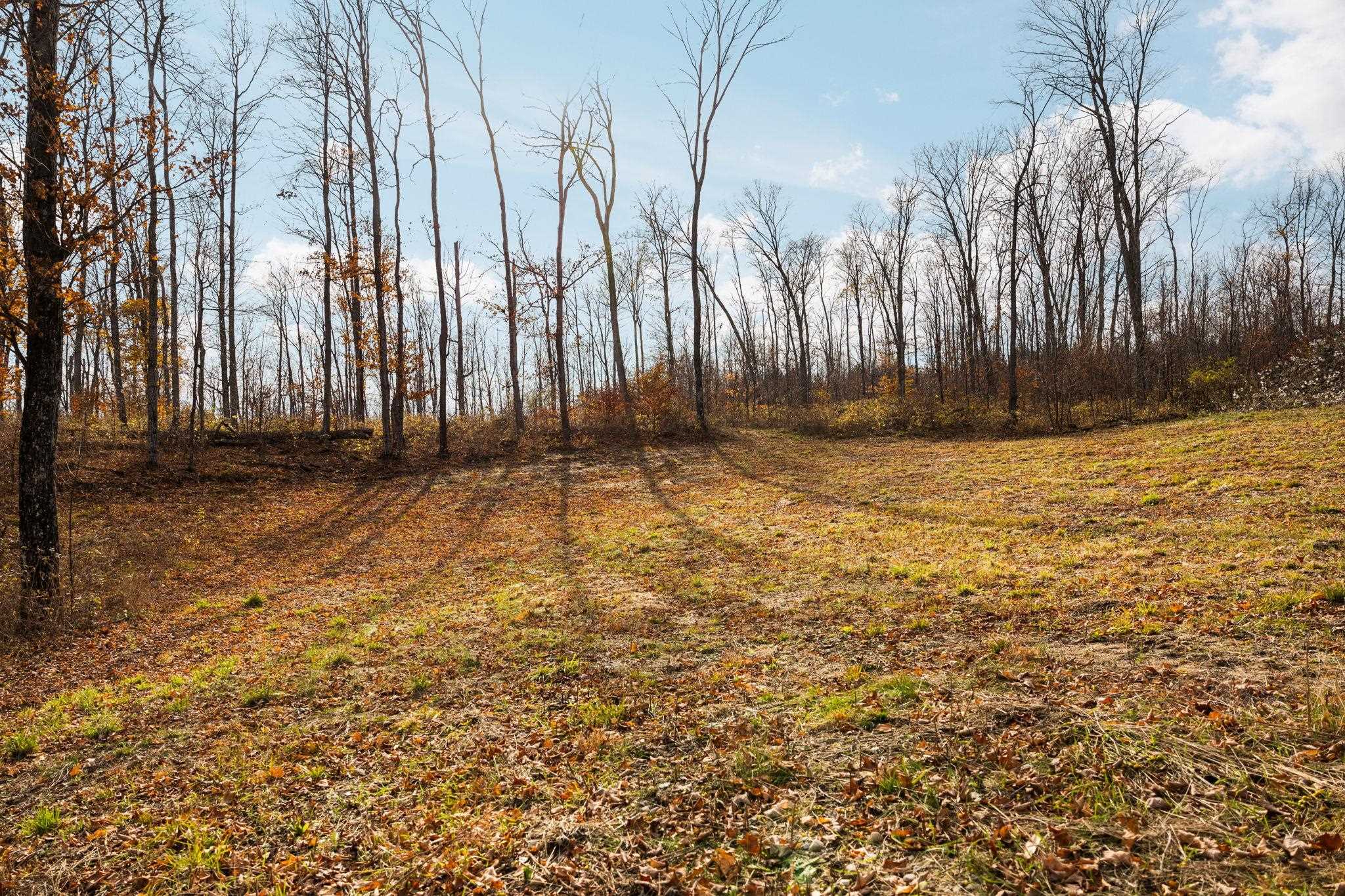 10550 South Cedar Road Cedar, MI 49621 - Photo 28 of 46 1947647-6780e6dd-072f-4f55-b536-9974ee720c0a.JPG