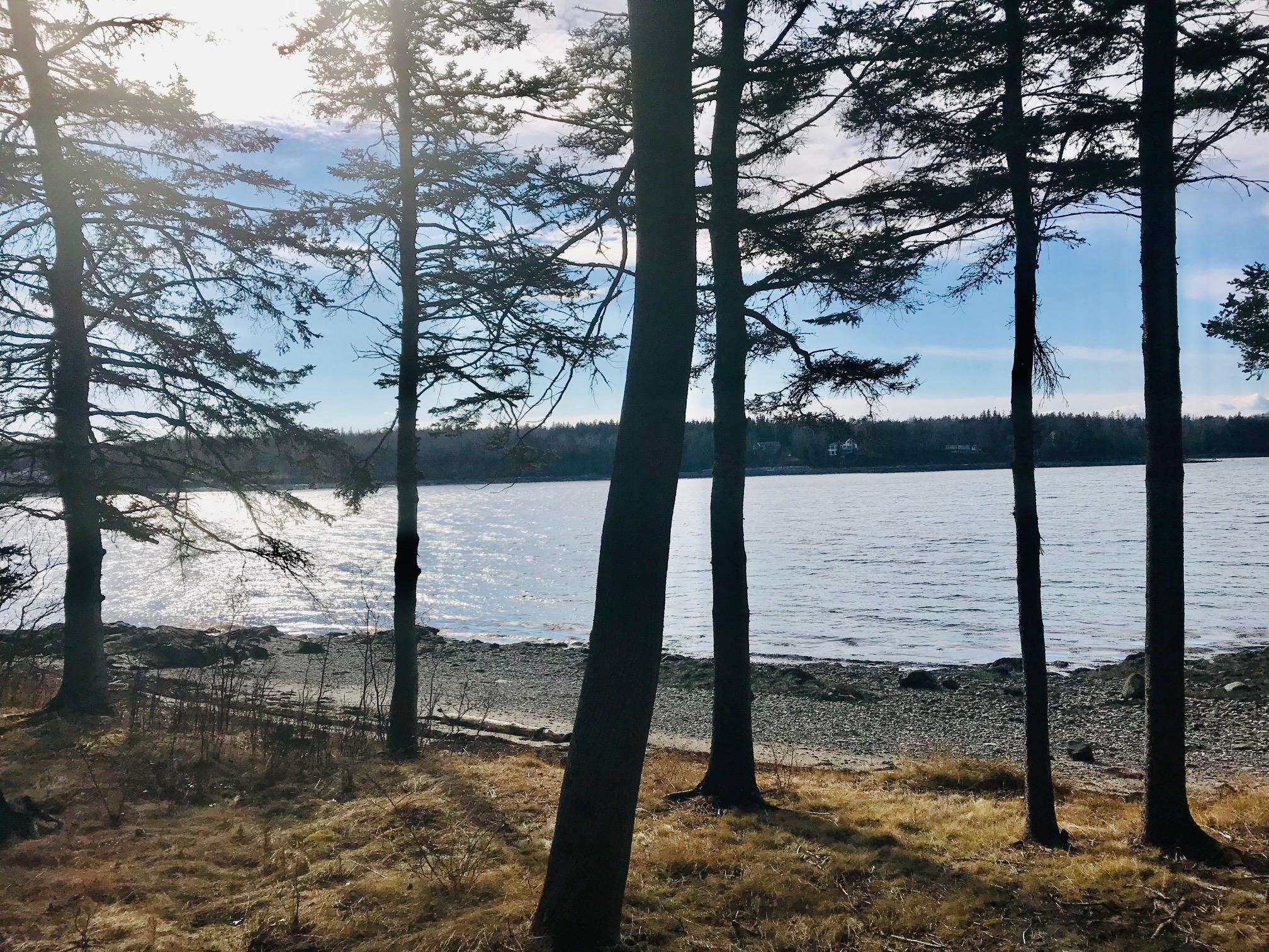 176 Dow Road Deer Isle, ME 04627 - Photo 1 of 1 IMG_6617