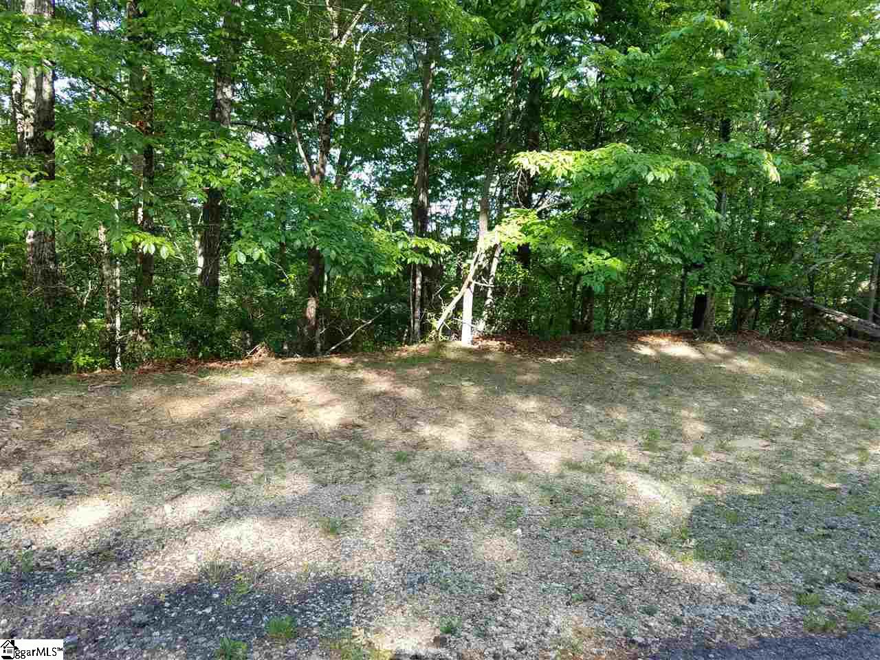 602 Whispering Falls Road, Unit LOT 39 Pickens, SC 29671 - Photo 3 of 13 Gallery Image 3