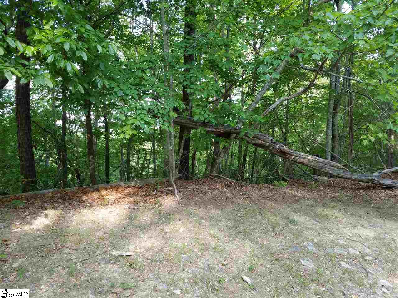602 Whispering Falls Road, Unit LOT 39 Pickens, SC 29671 - Photo 4 of 13 Gallery Image 4