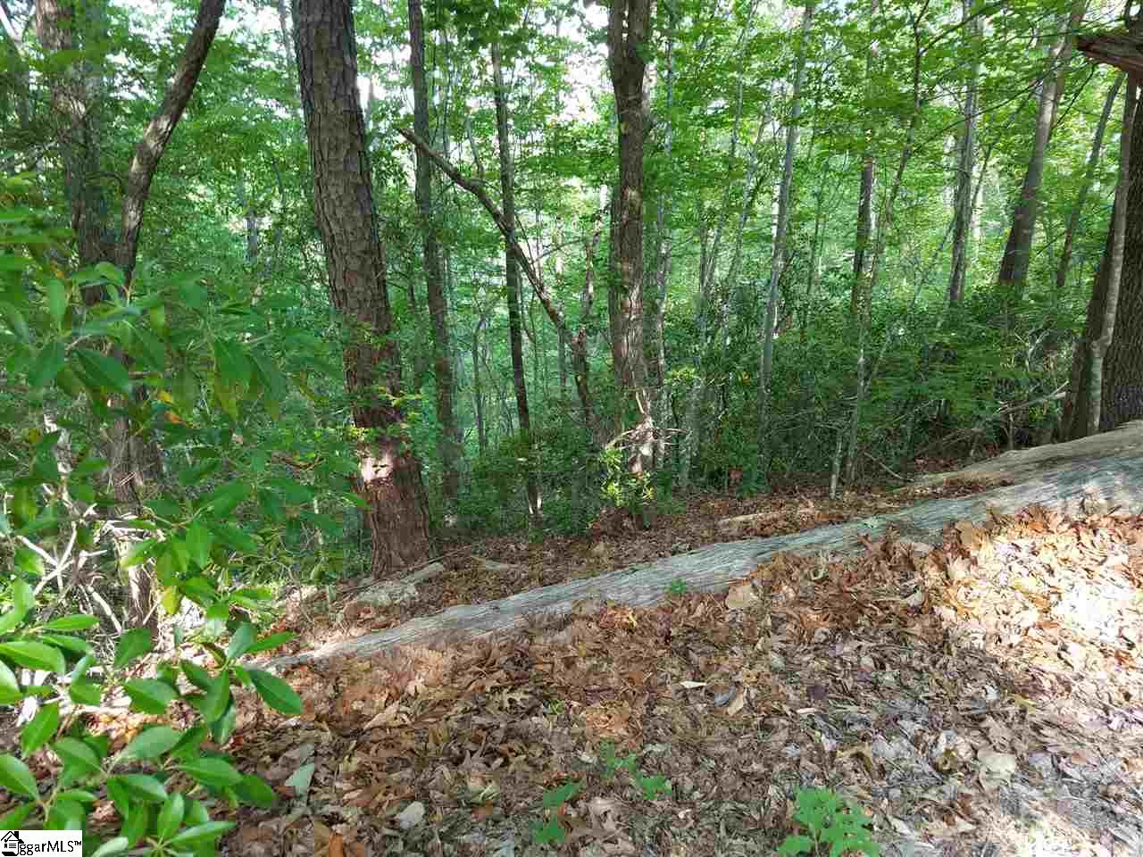 602 Whispering Falls Road, Unit LOT 39 Pickens, SC 29671 - Photo 8 of 13 Gallery Image 8