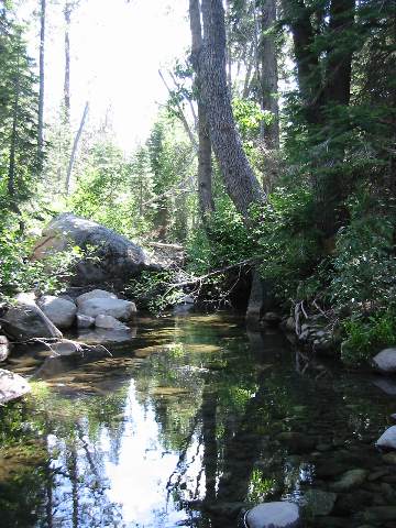 0 Cold Stream Road Truckee, CA 96161 - Photo 7 of 7