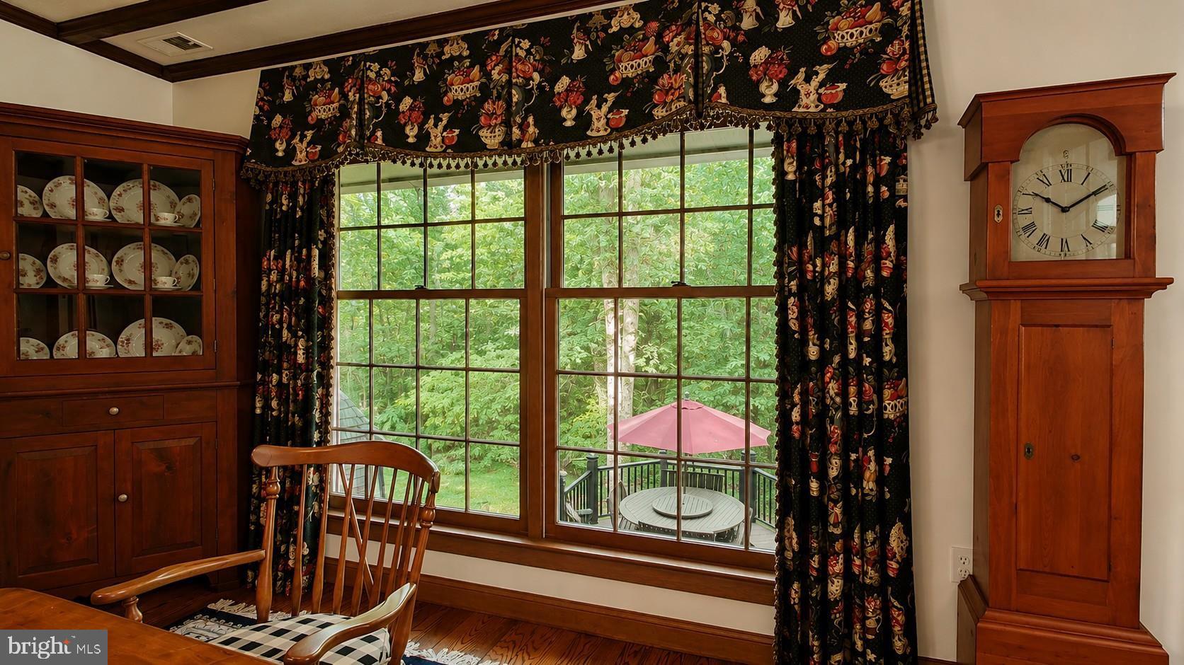 3903 Dance Mill Road Phoenix, MD 21131 - Photo 17 of 79 Oversized Windows - Tranquil Views