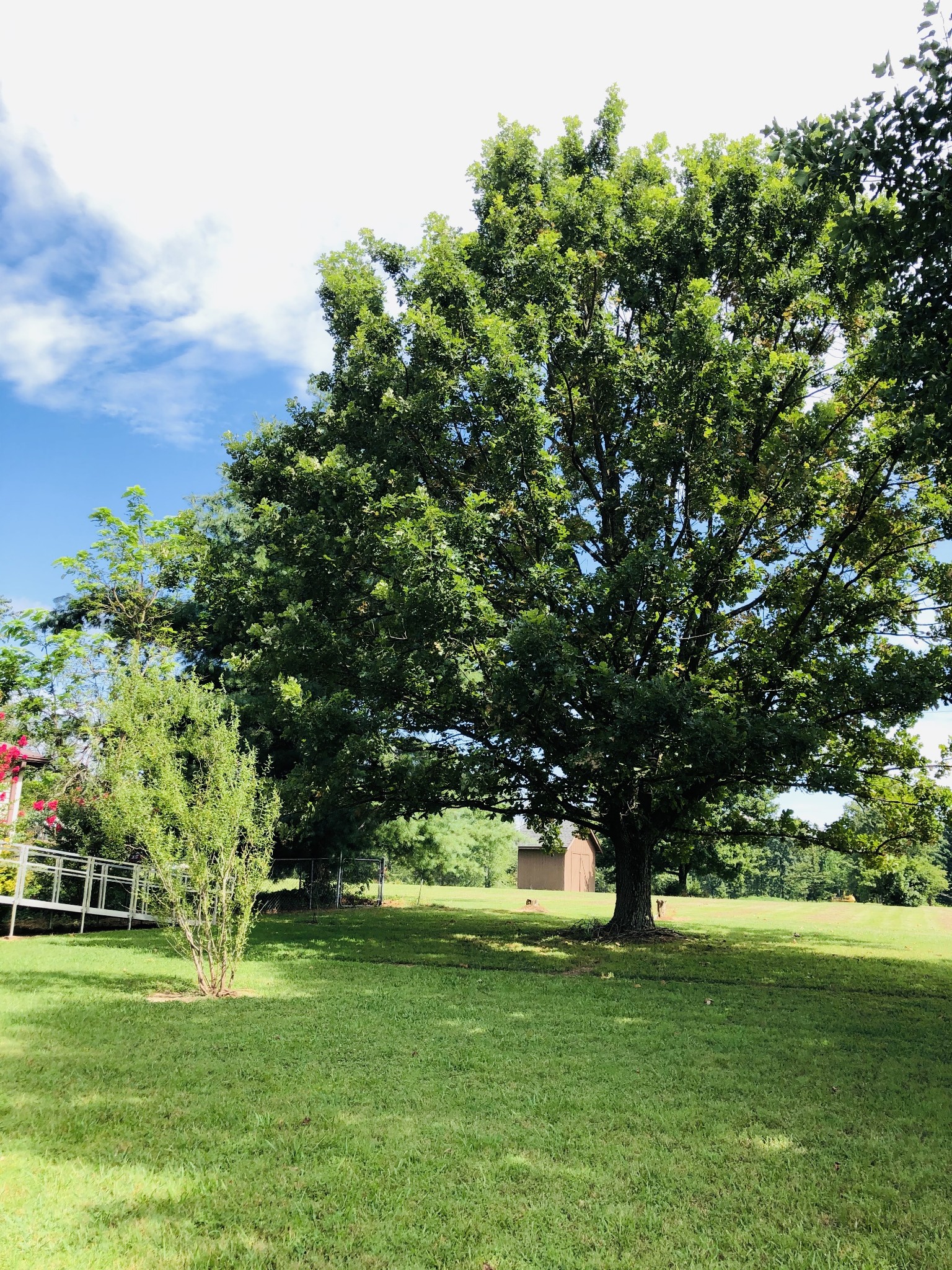 8623 Aedc Road Estill Springs, TN 37330 - Photo 24 of 39 Gallery Image 24