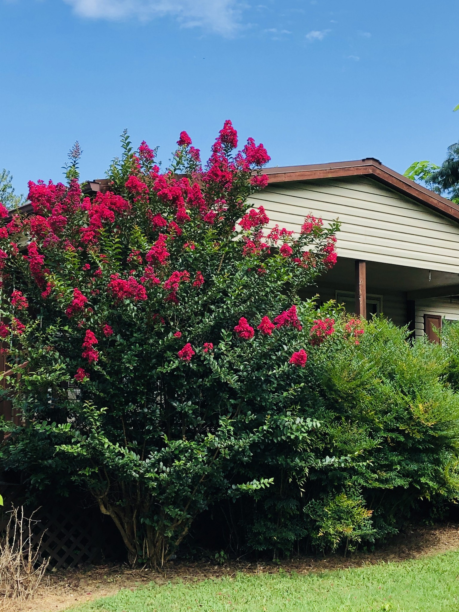8623 Aedc Road Estill Springs, TN 37330 - Photo 29 of 39 Gallery Image 29