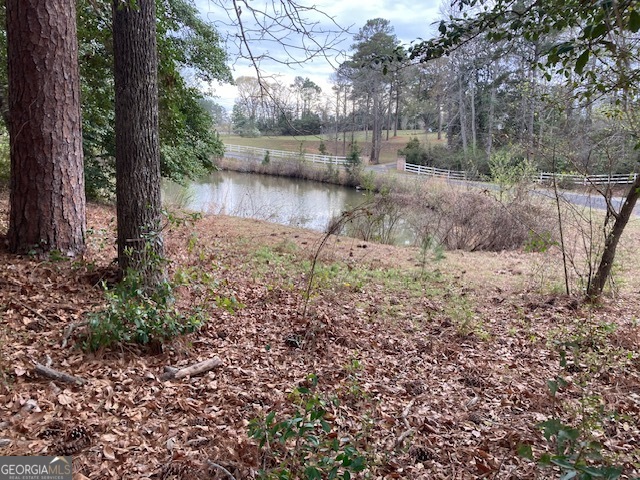 274 Trinity Road Dublin, GA 31021 - Photo 3 of 11