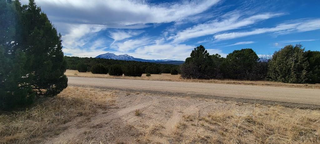 Lot 34 Silver Spur Road Walsenburg, CO 81089 - Photo 3 of 43