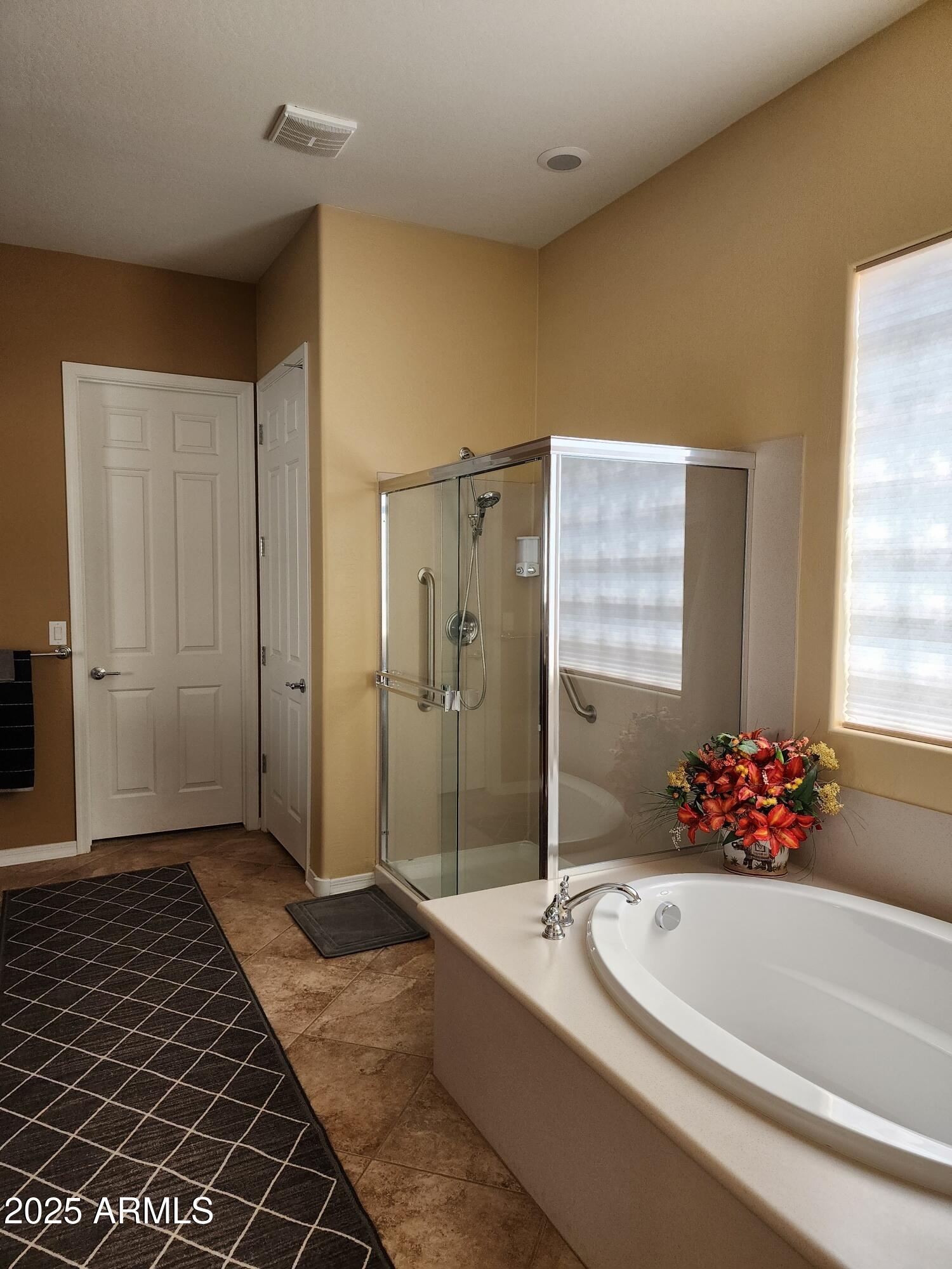 20002 North 269th Drive Buckeye, AZ 85396 - Photo 14 of 29 a bathroom with a bathtub and a shower
