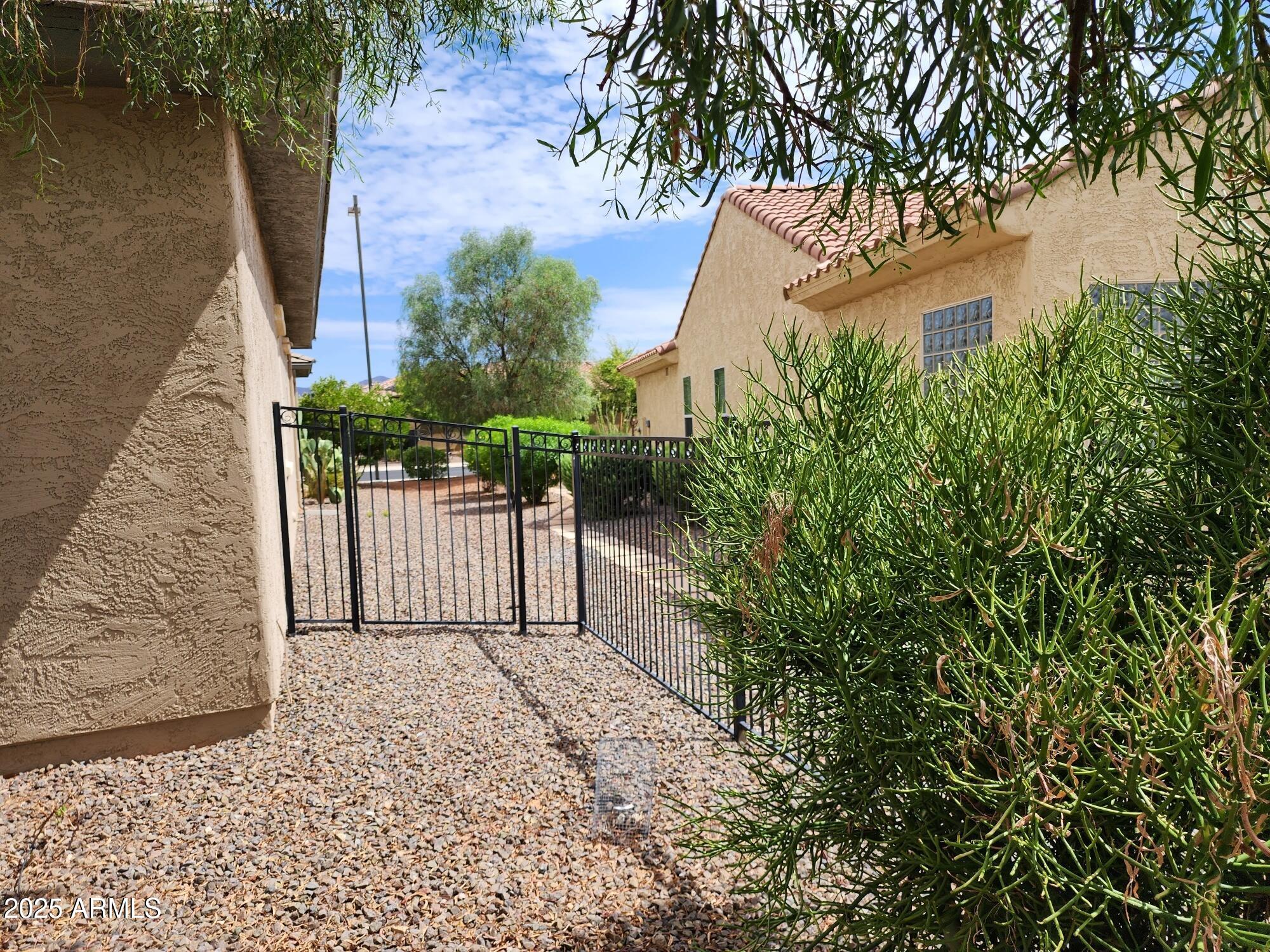 20002 North 269th Drive Buckeye, AZ 85396 - Photo 21 of 29 a view of a white house with a small yard and plants