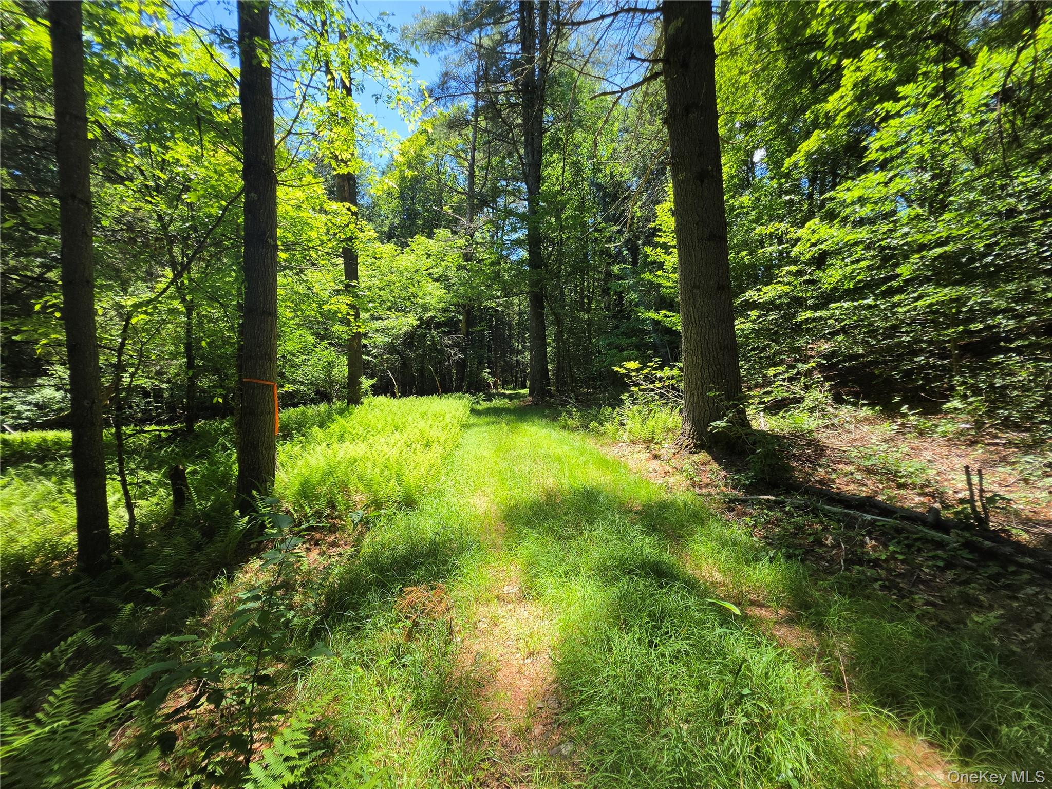 Tbd Camp Kennybrook Road Monticello, NY 12701 - Photo 15 of 34