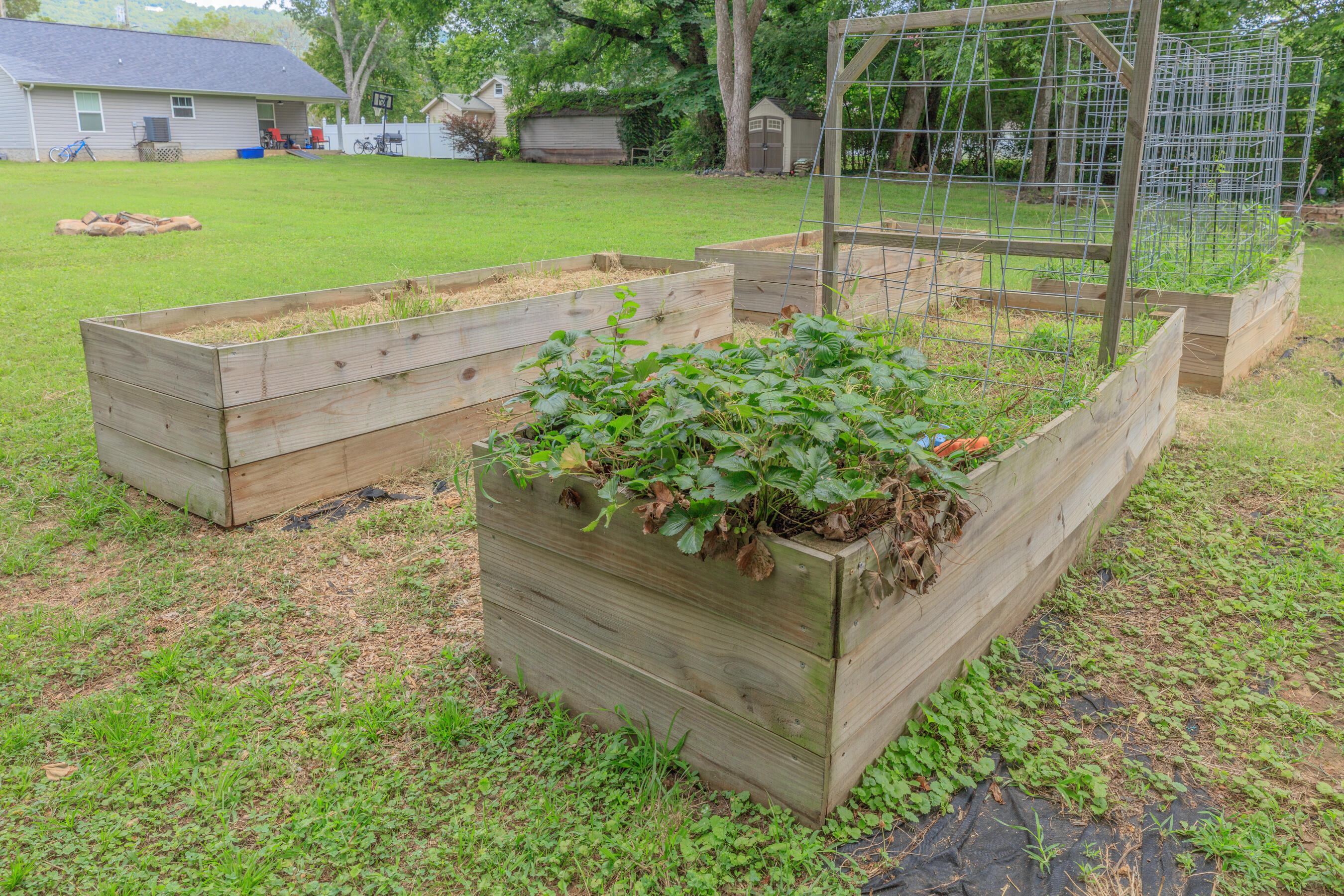 11671 Walker Road Soddy-Daisy, TN 37379 - Photo 26 of 27 11671 Walker HD-13