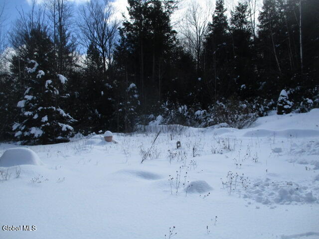 93 Rollies Road Warrensburg, NY 12885 - Photo 4 of 6 IMG_8583