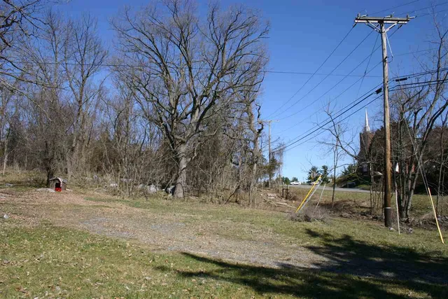 a view of road with large trees