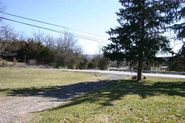 a view of a yard with trees