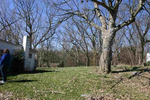 a fire hydrant in middle of the forest
