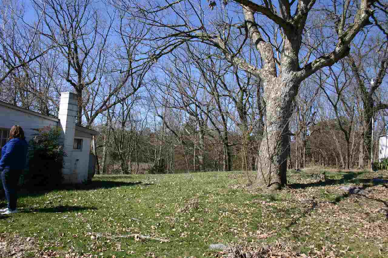 1661 Smithland Road Harrisonburg, VA 22802 - Photo 5 of 6 a fire hydrant in middle of the forest