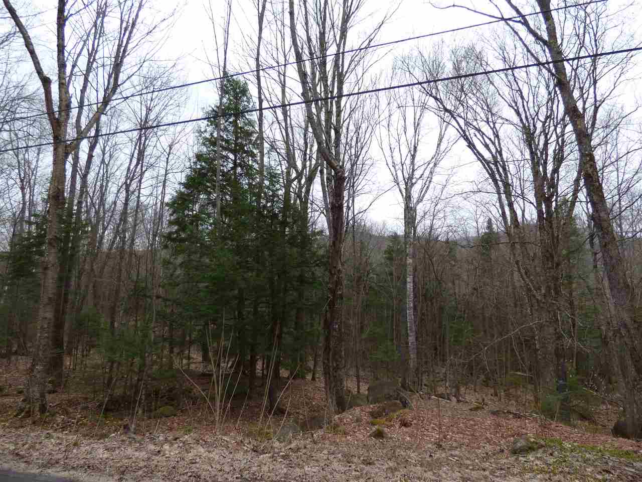 83 Ridge Road Jackson, NH 03846 - Photo 2 of 2