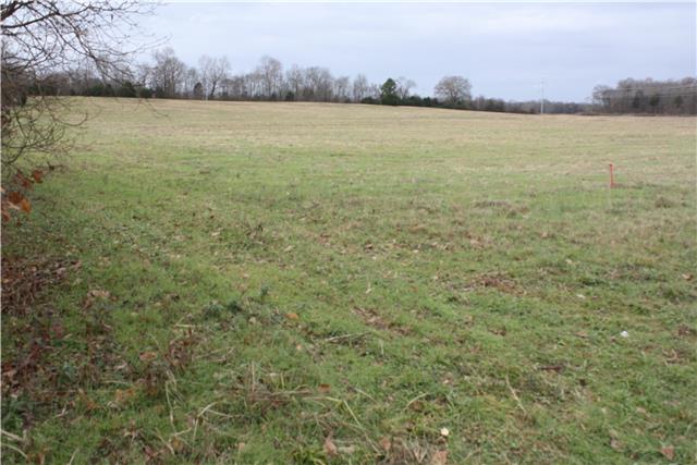 15 Pyles Road Chapel Hill, TN 37034 - Photo 1 of 12 Gallery Image 1