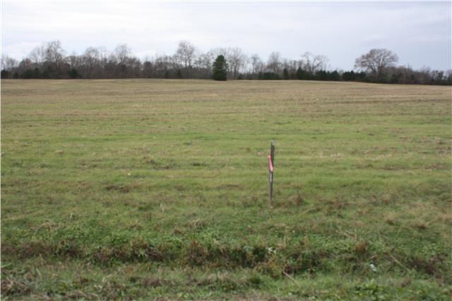 15 Pyles Road Chapel Hill, TN 37034 - Photo 11 of 12 Gallery Image 11