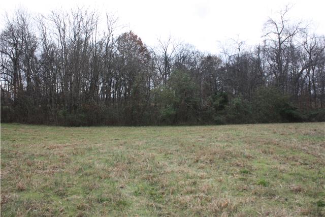 15 Pyles Road Chapel Hill, TN 37034 - Photo 4 of 12 Gallery Image 4