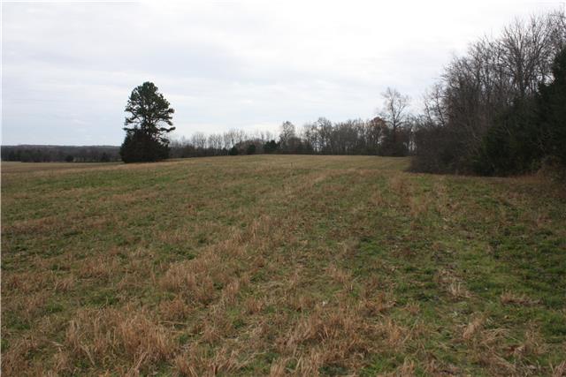 15 Pyles Road Chapel Hill, TN 37034 - Photo 6 of 12 Gallery Image 6
