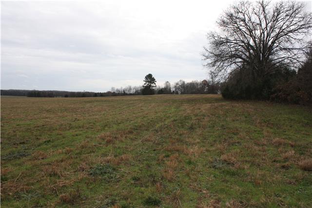 15 Pyles Road Chapel Hill, TN 37034 - Photo 7 of 12 Gallery Image 7