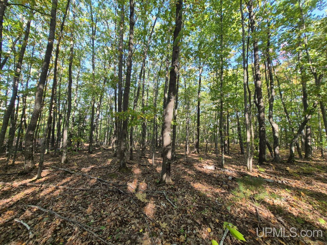 Tbd Tbd D Road Big Bay, MI 49808 - Photo 9 of 21