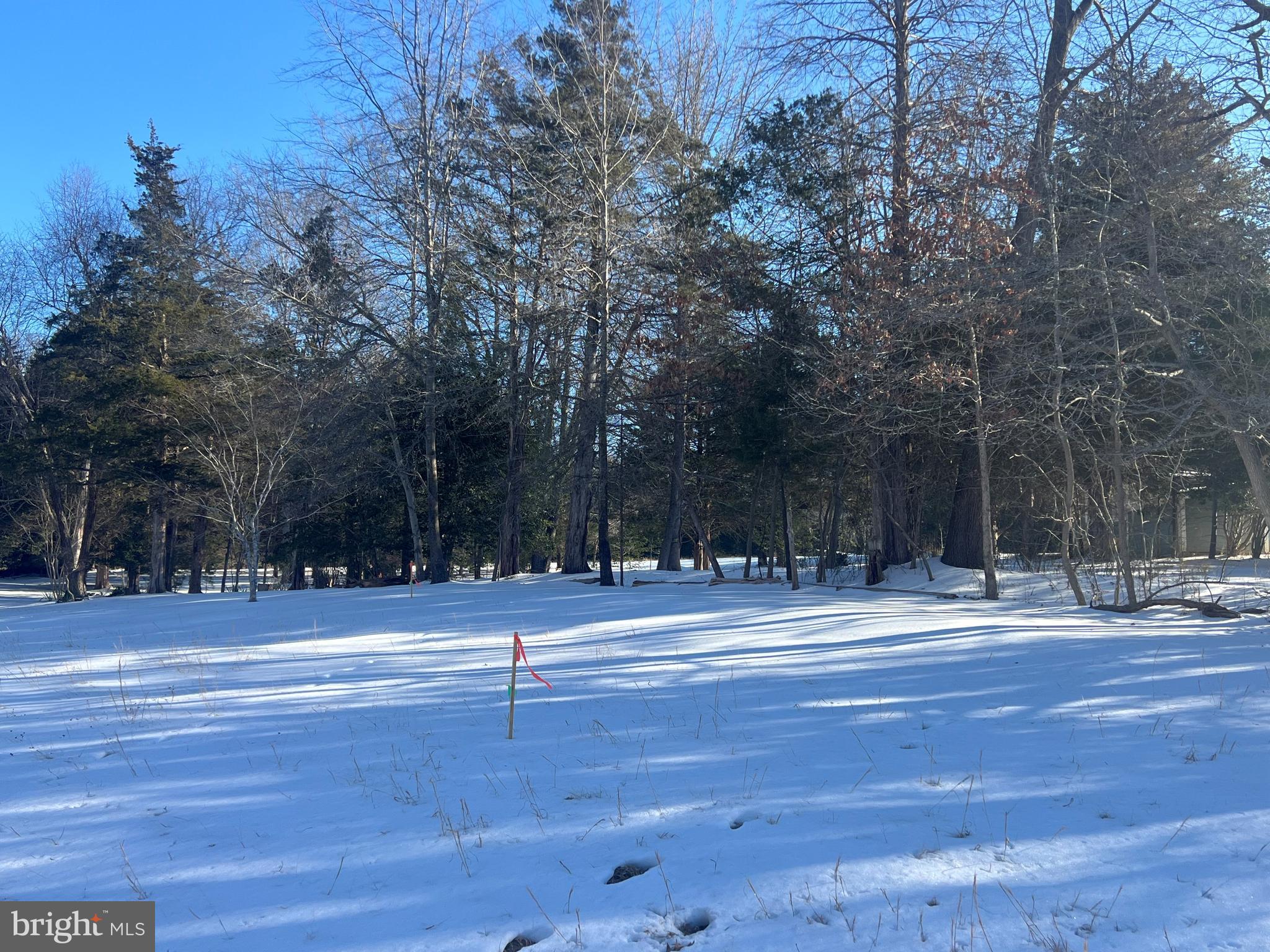 5400 Spinnaker Way Mineral, VA 23117 - Photo 2 of 11 a view of a yard