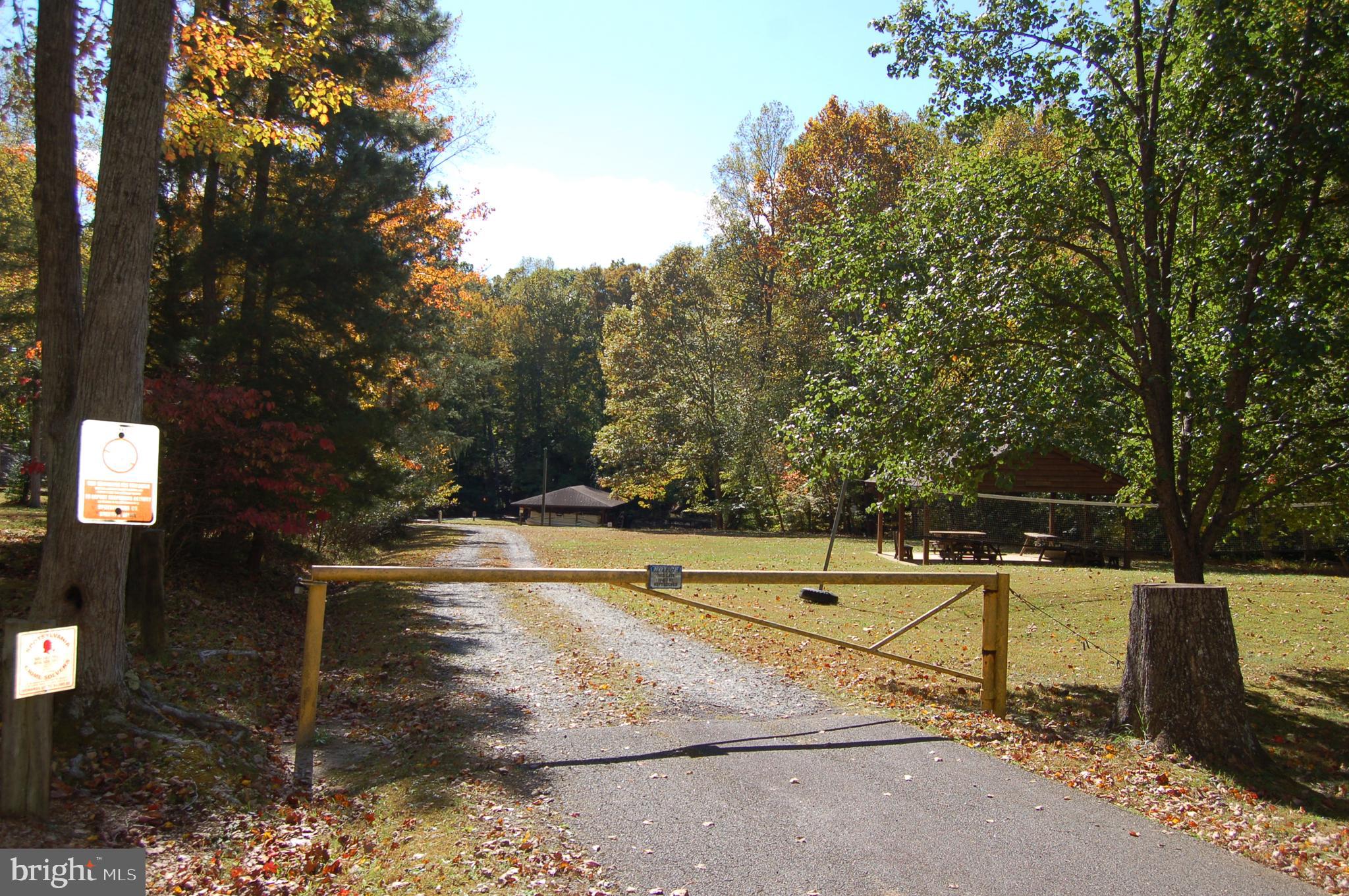 5400 Spinnaker Way Mineral, VA 23117 - Photo 5 of 11 a view of a swimming pool with an outdoor seating and a forest