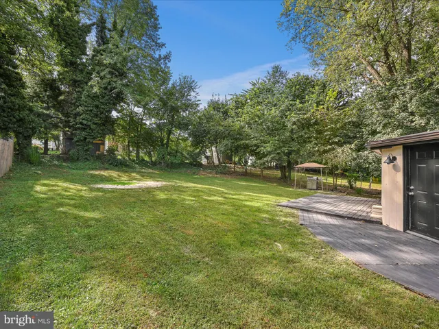 a view of a park with large trees