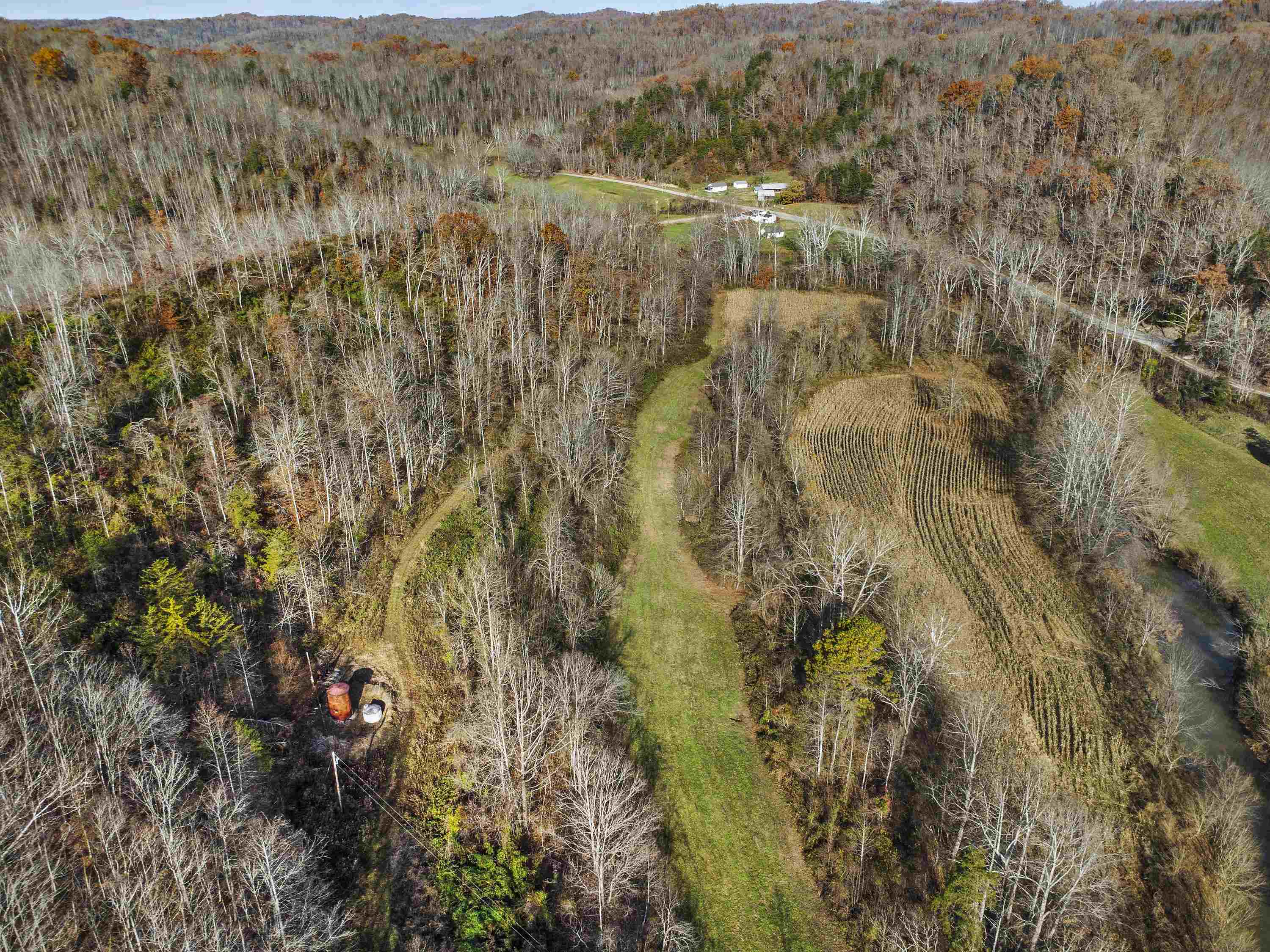 0 Tate Hollow Road Louisa, KY 41230 - Photo 20 of 50