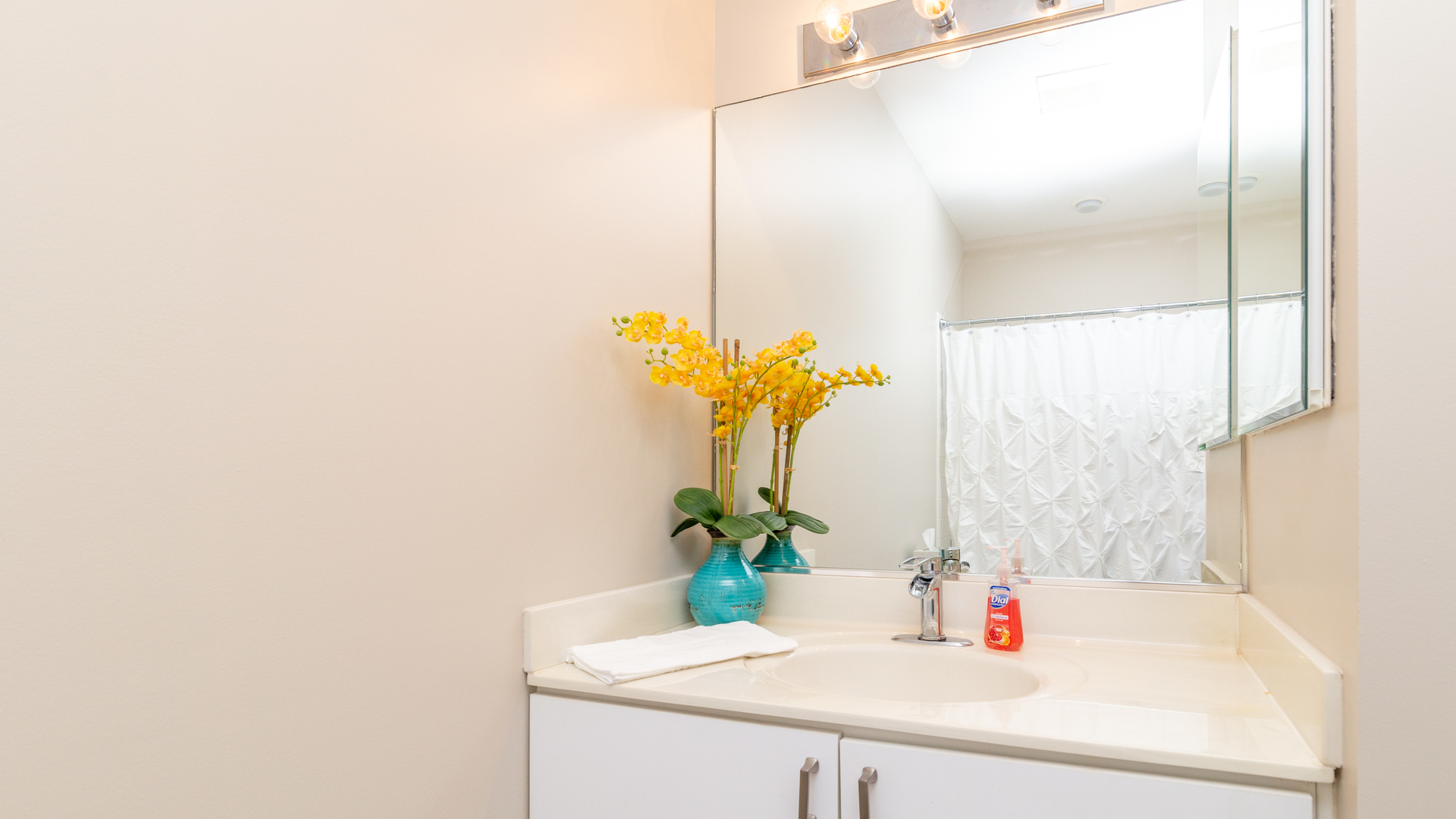 811 South Lytle Street, Unit 319 Chicago, IL 60607 - Photo 14 of 29 a bathroom with a sink and a mirror