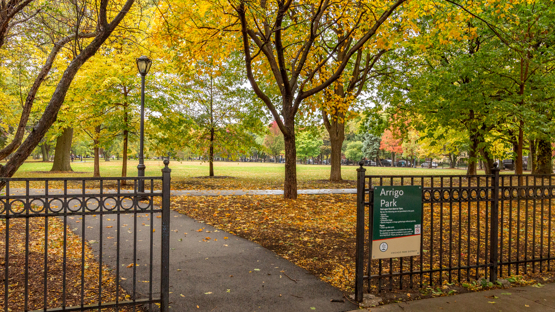 811 South Lytle Street, Unit 319 Chicago, IL 60607 - Photo 21 of 29 a view of a pathway with a trees