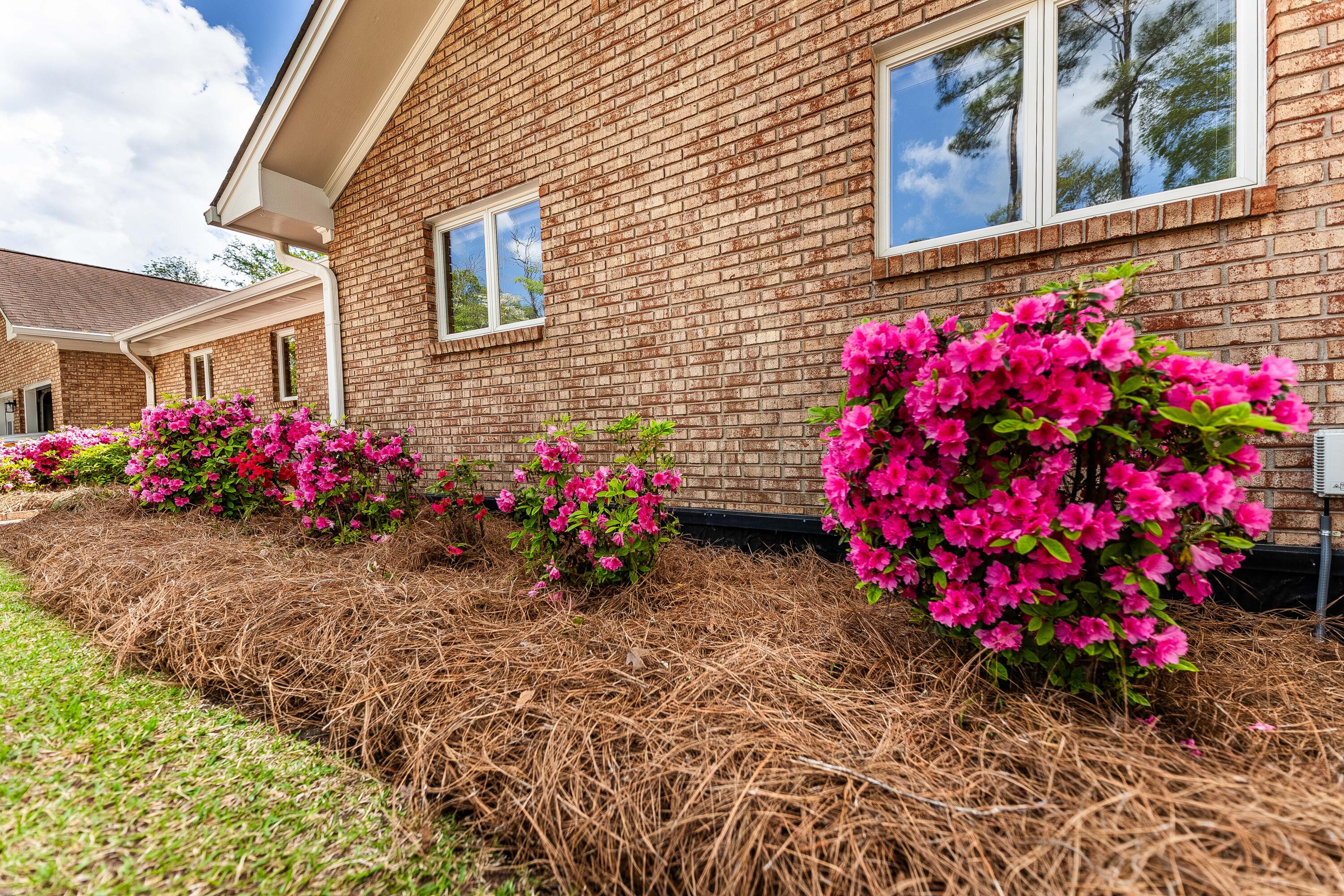 415 Santee Drive Santee, SC 29142 - Photo 34 of 39 Beautiful Flower Beds Around the Homes