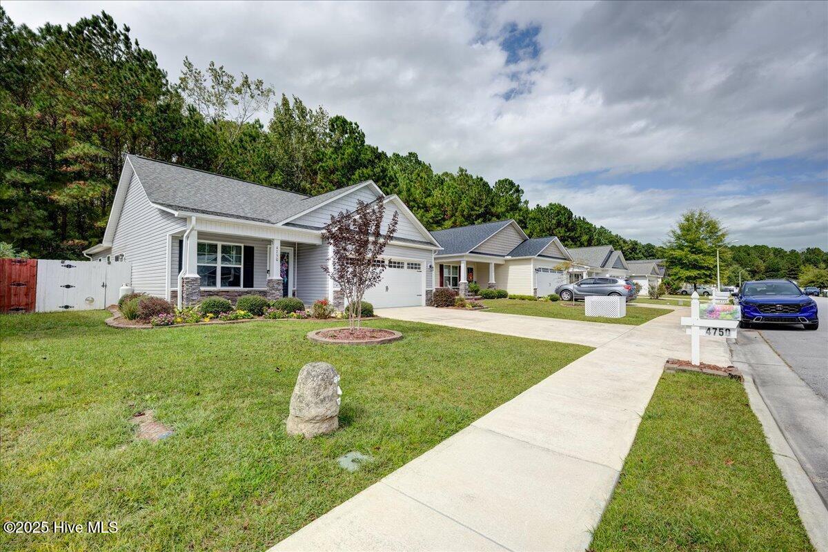 4750 Corena Drive New Bern, NC 28562 - Photo 4 of 40 06-4750_Corena-39