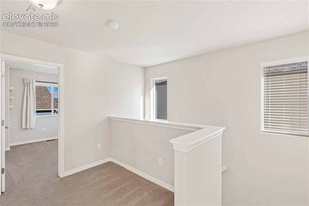 4439 Samaritan Loop Colorado Springs, CO 80916 - Photo 16 of 42