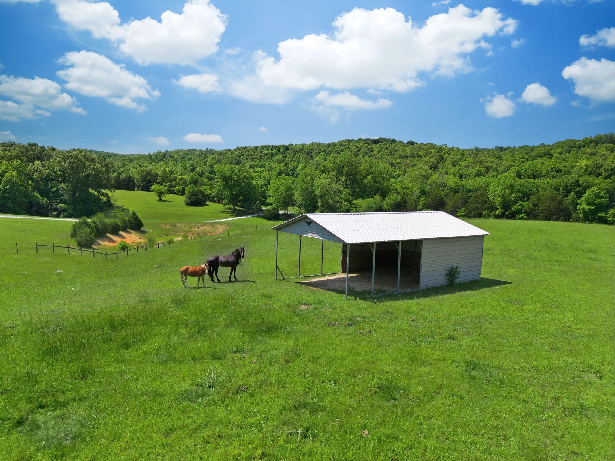 1732 Cedar Creek Road Vanleer, TN 37181 - Photo 9 of 95