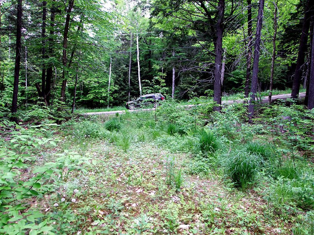 Lot 1 South Shore Road Houlton, ME 04730 - Photo 3 of 35 Photo