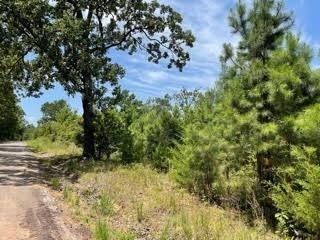 Lot 11 Fm 556 Pittsburg, TX 75686 - Photo 1 of 2